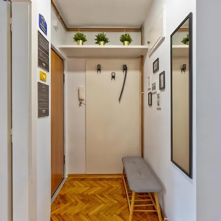 Zigzag * Belgrad